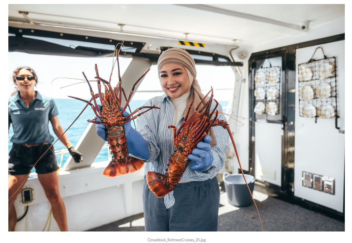 Lobster Catching Cruise