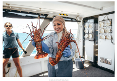 Lobster Catching Cruise