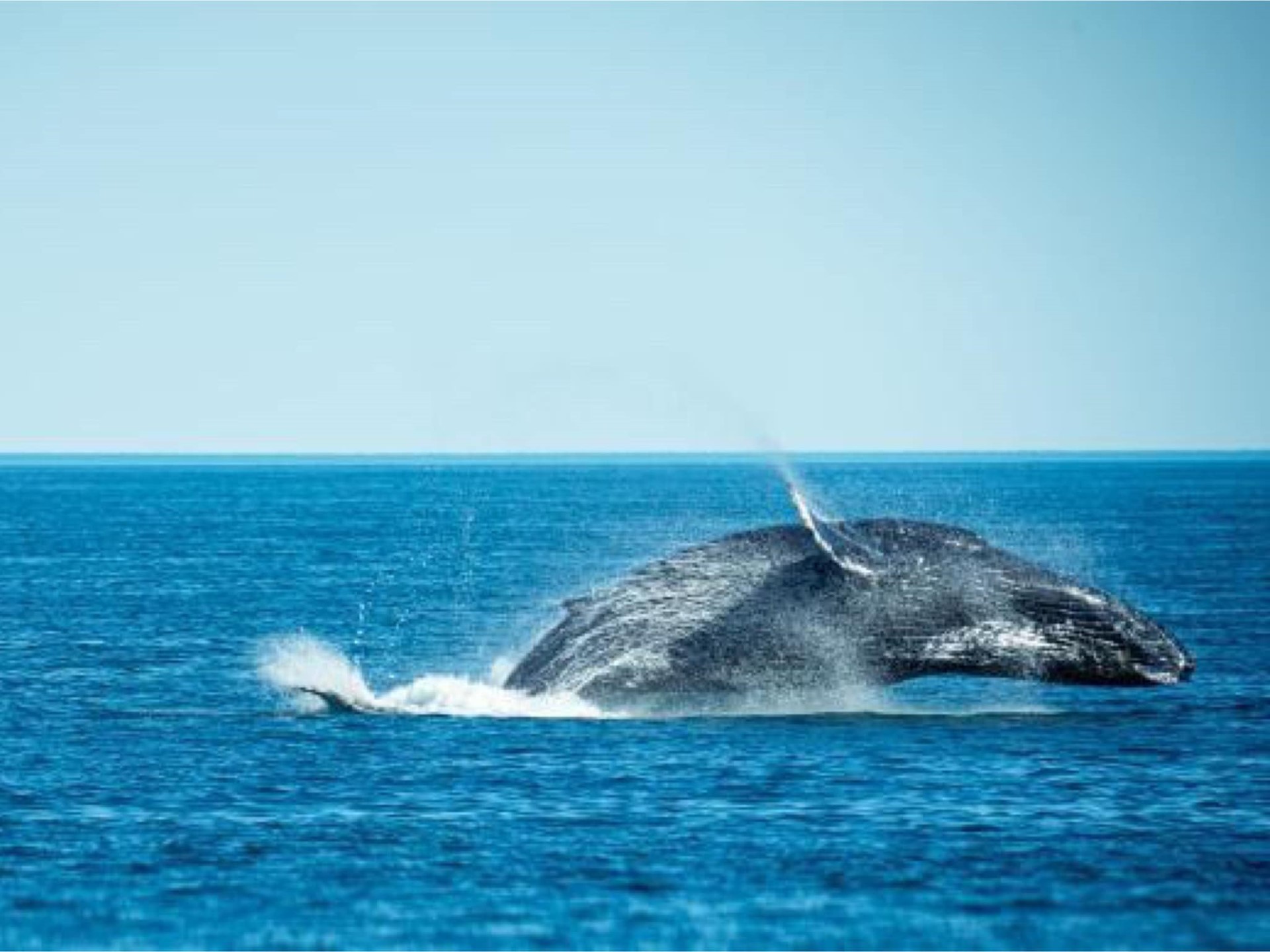 Broome Sunset, Seafood & Pearling Cruise