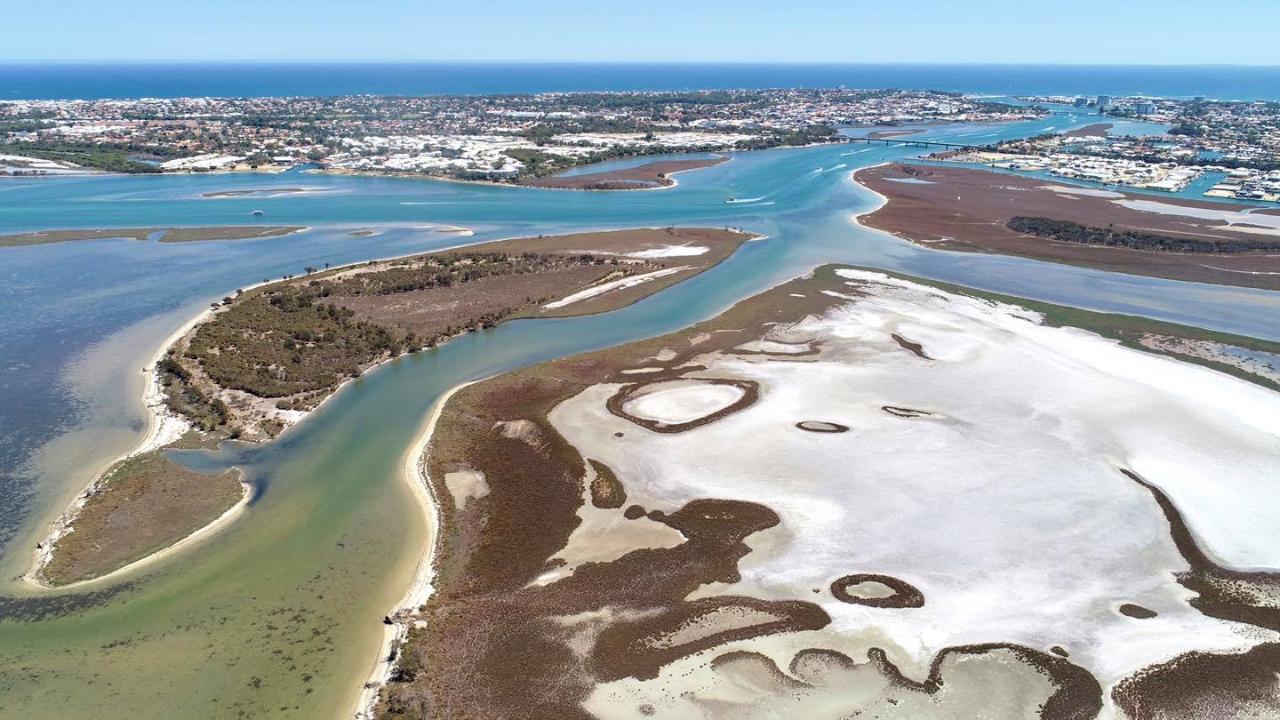 Wonders of our Wetlands - Cruise & Wander