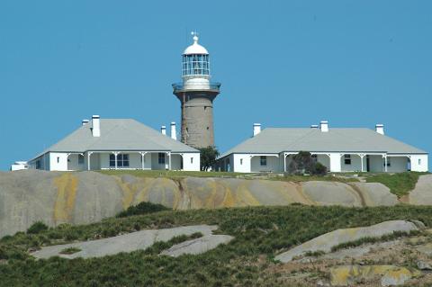Montague Island Tour with optional snorkelling 8:00am 4.5 hrs (Landing on Island)