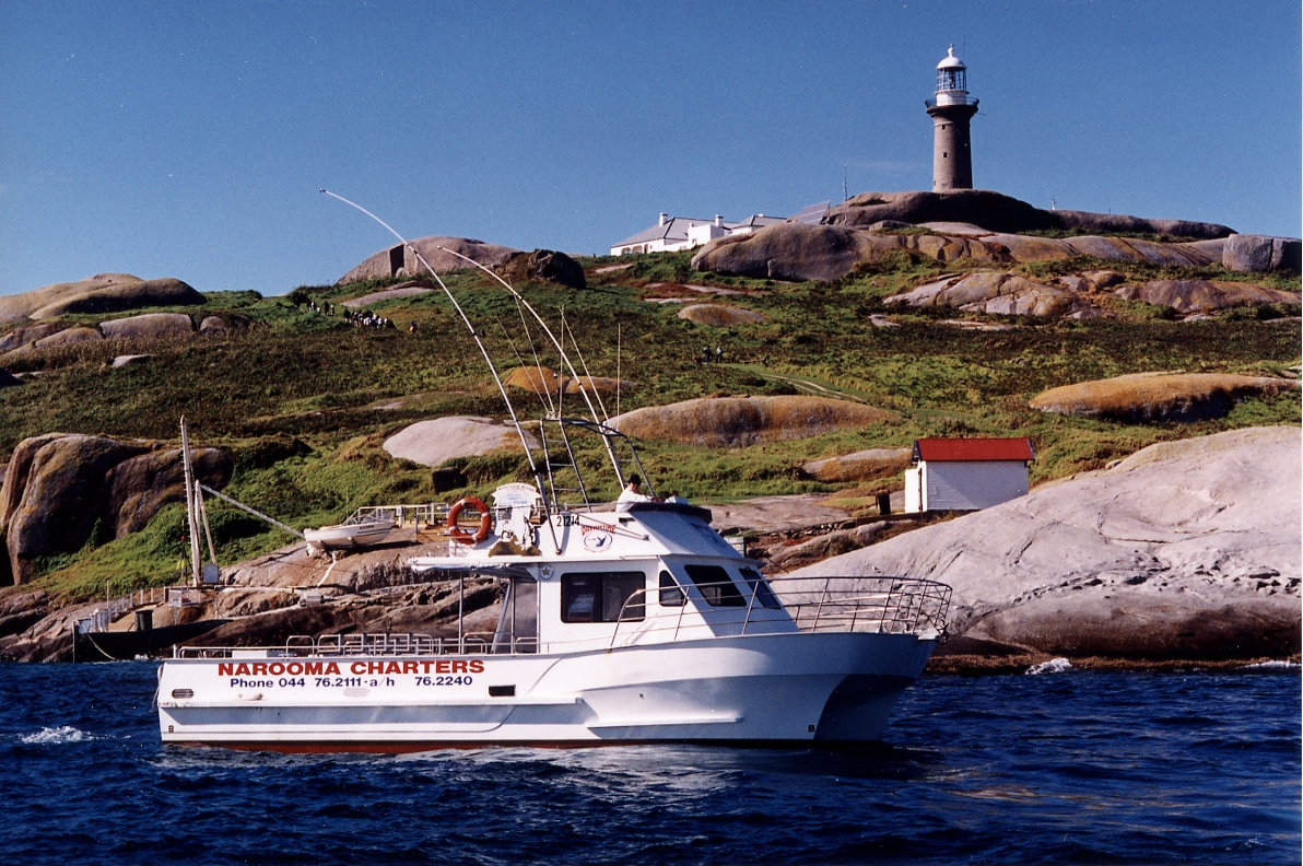 Montague Island Circumnavigation ( Non Landing tour )