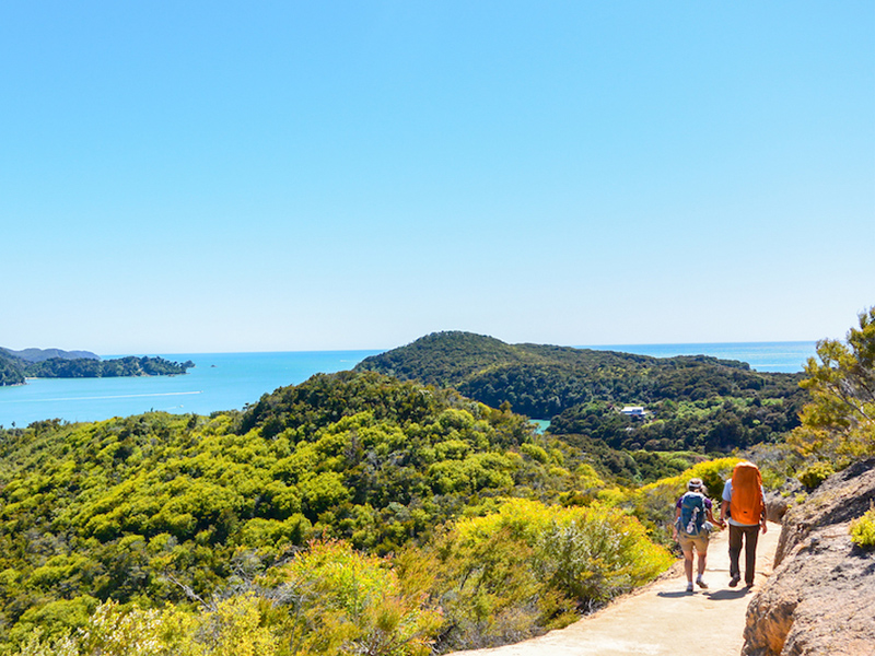 Abel Tasman 4 Day Classic Package