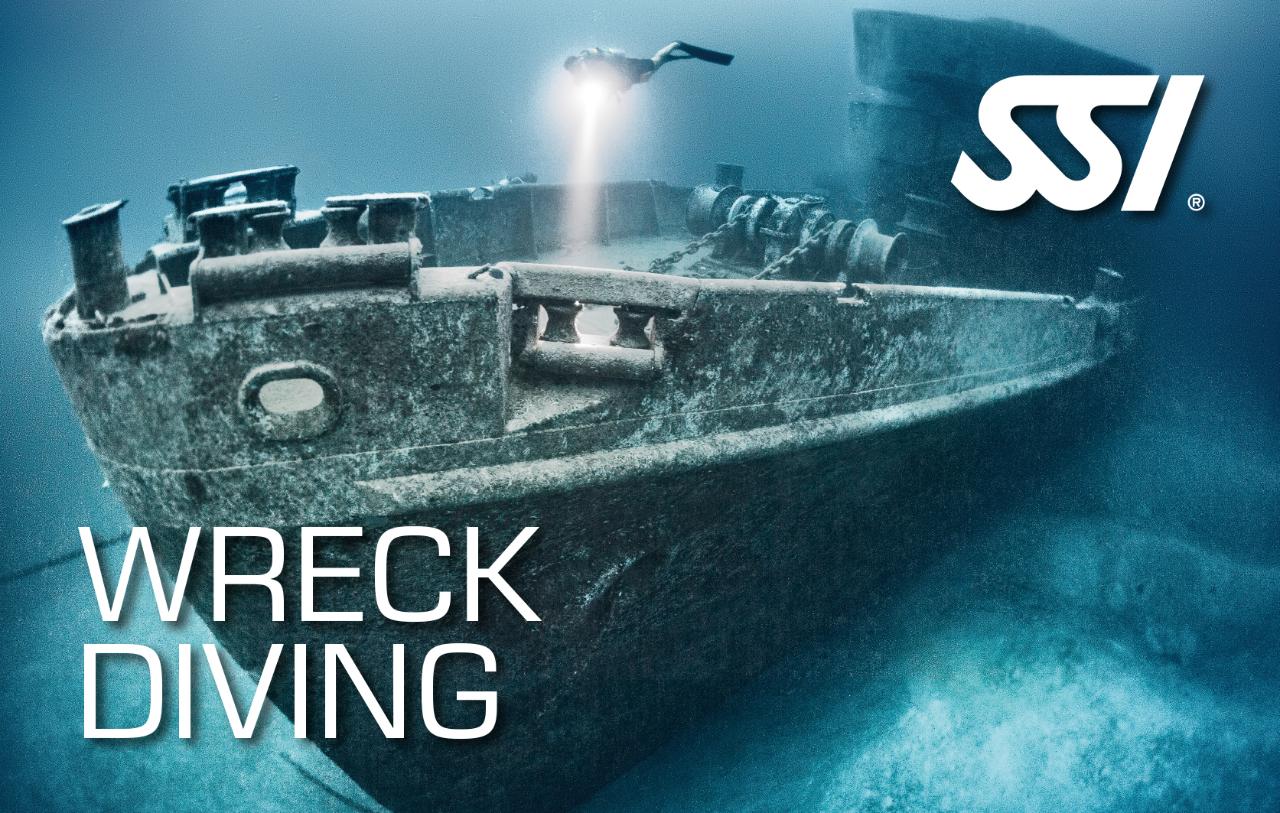 SSI Wreck Diving Specialty New Zealand Diving Reservations