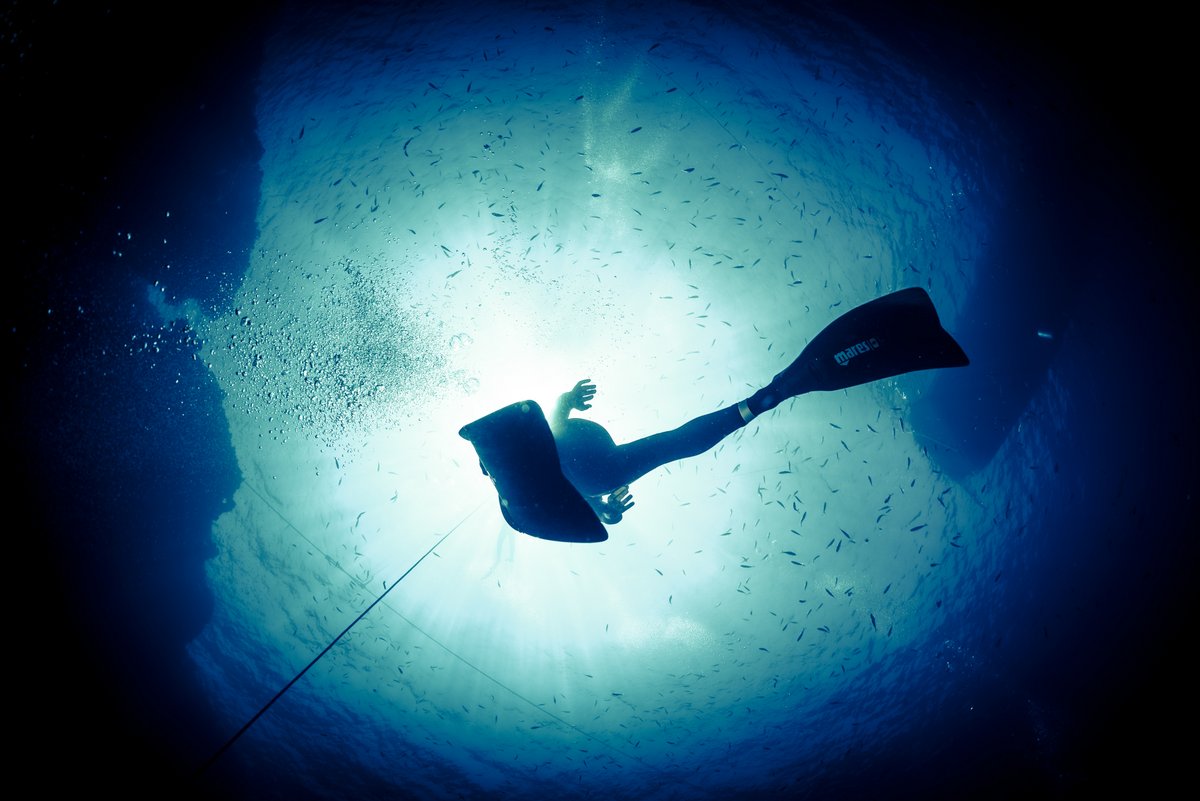 SSI Basic Freediving New Zealand Diving Reservations