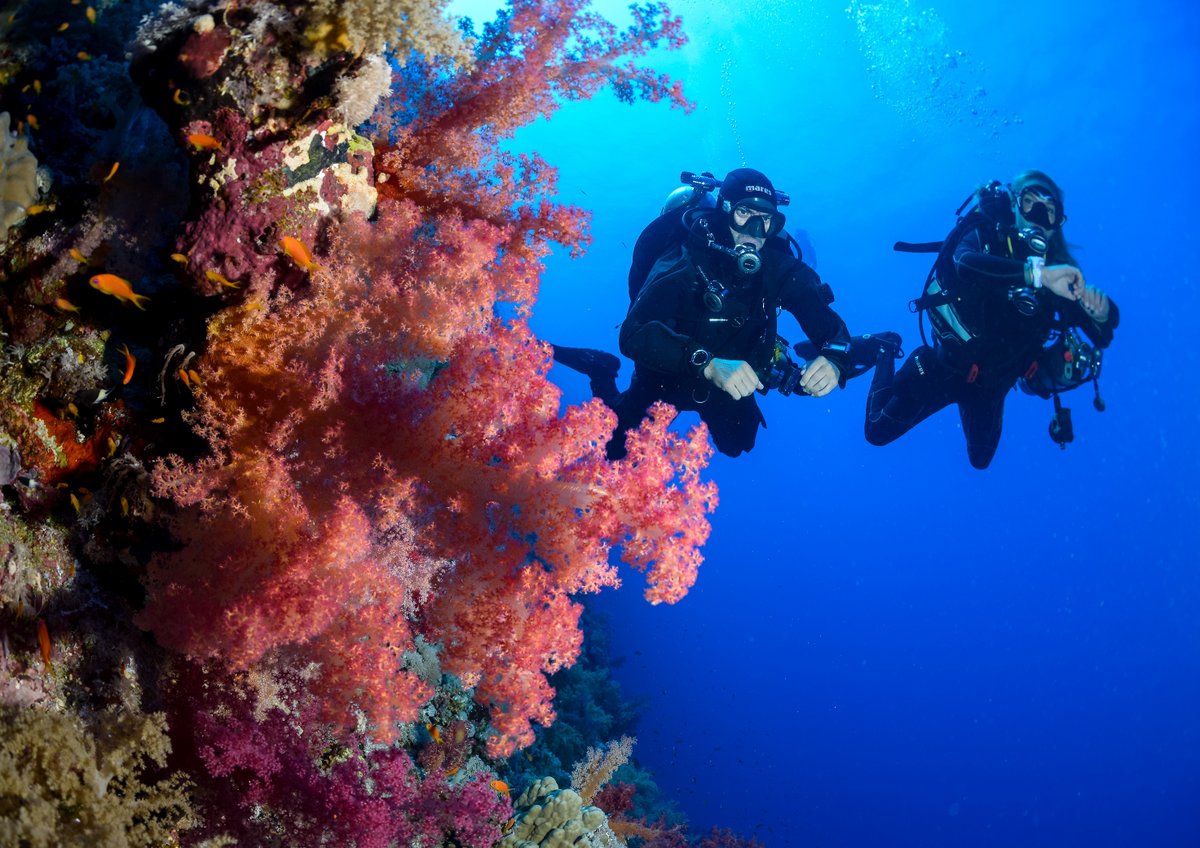 SSI Try SCUBA New Zealand Diving Reservations