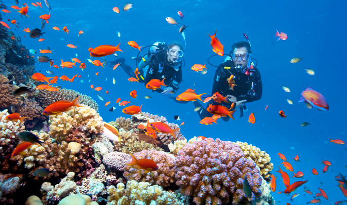 Scuba Refresher Course