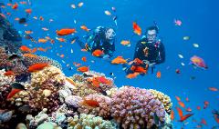 Scuba Refresher Course