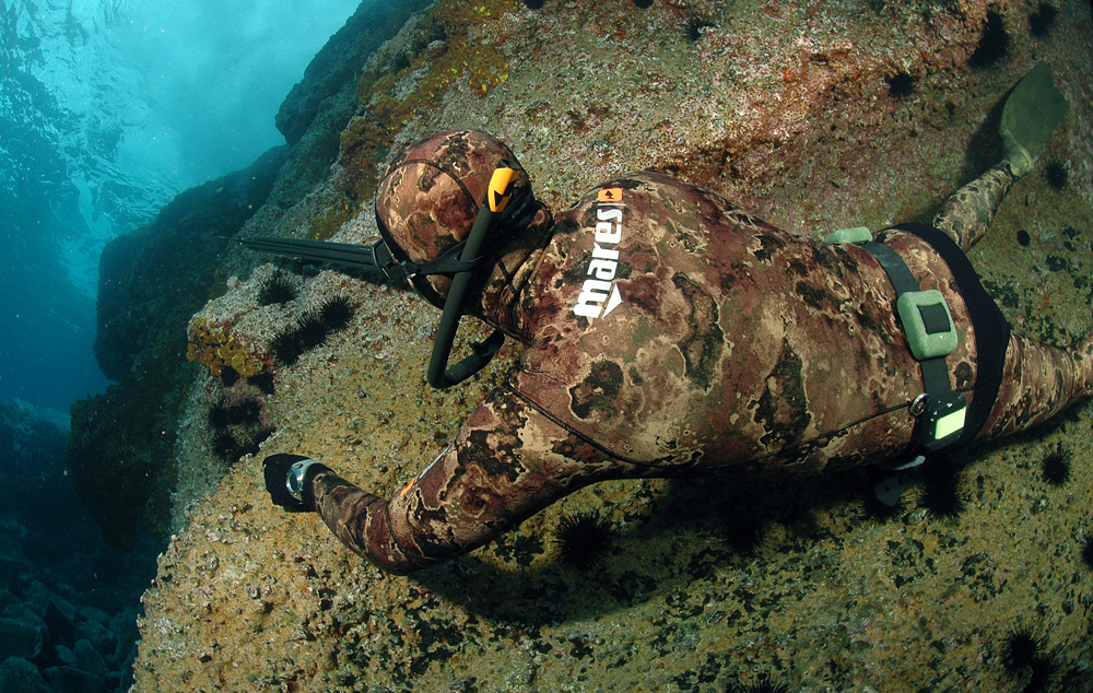 Spearfishing Kawau Island New Zealand Diving Reservations