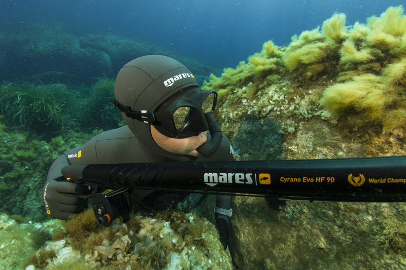 Spearfishing Kawau Island New Zealand Diving Reservations