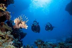 SSI Open Water Diver - 3  day course