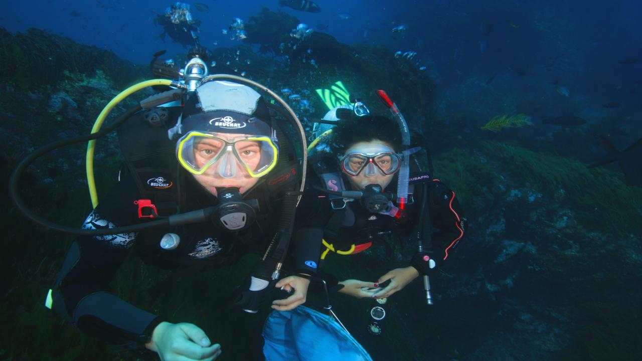Multi package dive tour