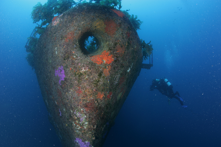 HMNZS Canterbury Shipwreck