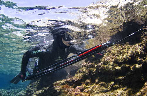 Spearfishing in New Zealand - The Fishing Website