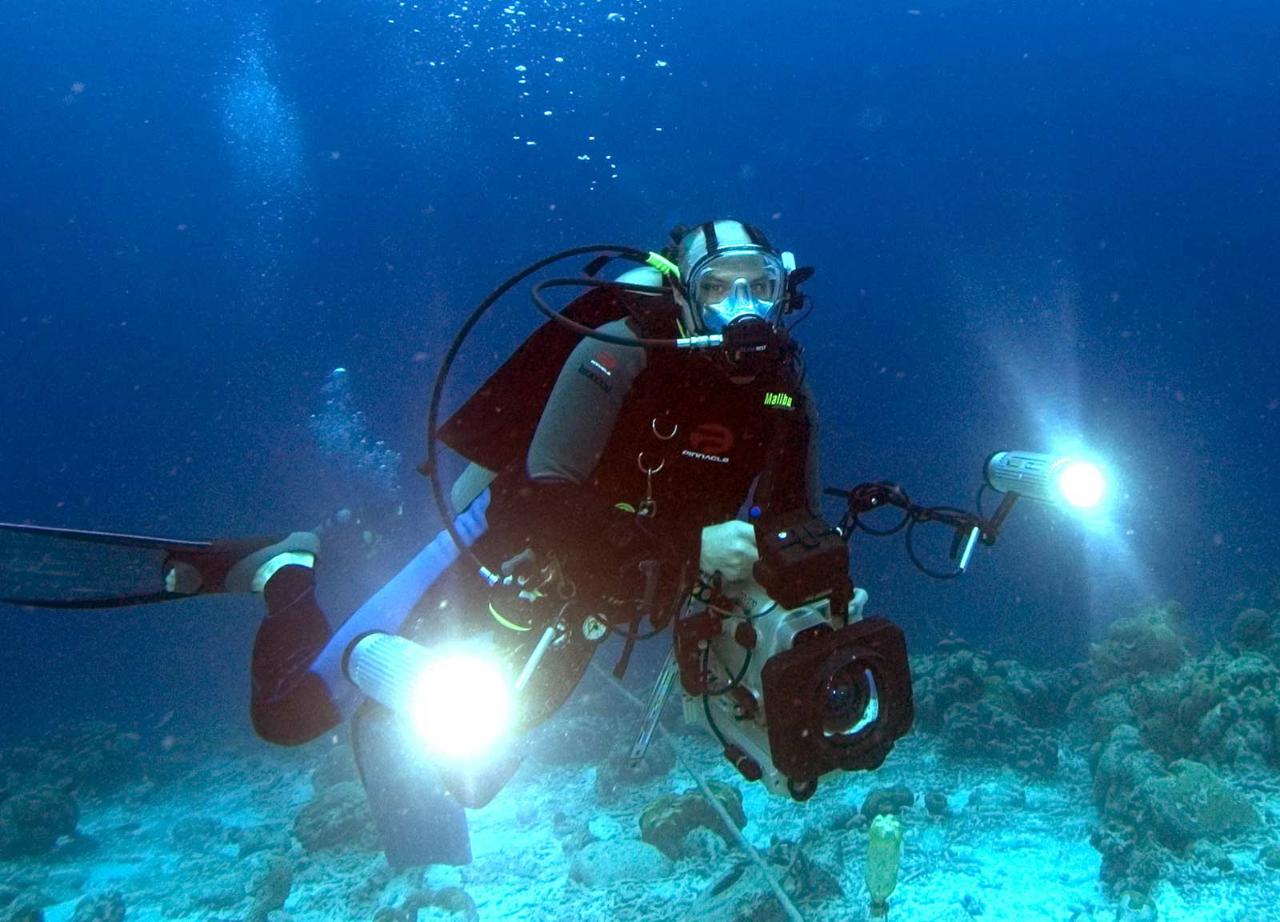 Underwater Photography course - 2 days