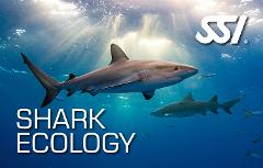 Shark Ecology Classroom 