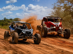 GOLD COAST - V8 RACE BUGGY + TURBO RACE BUGGY combo 2 -
