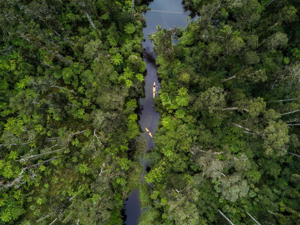 Half day kayak rental