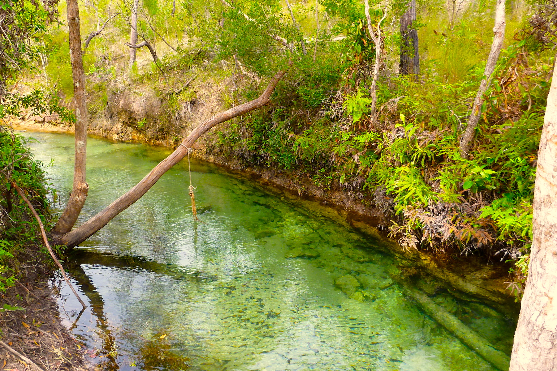Cape York Trek Tagalong Tour