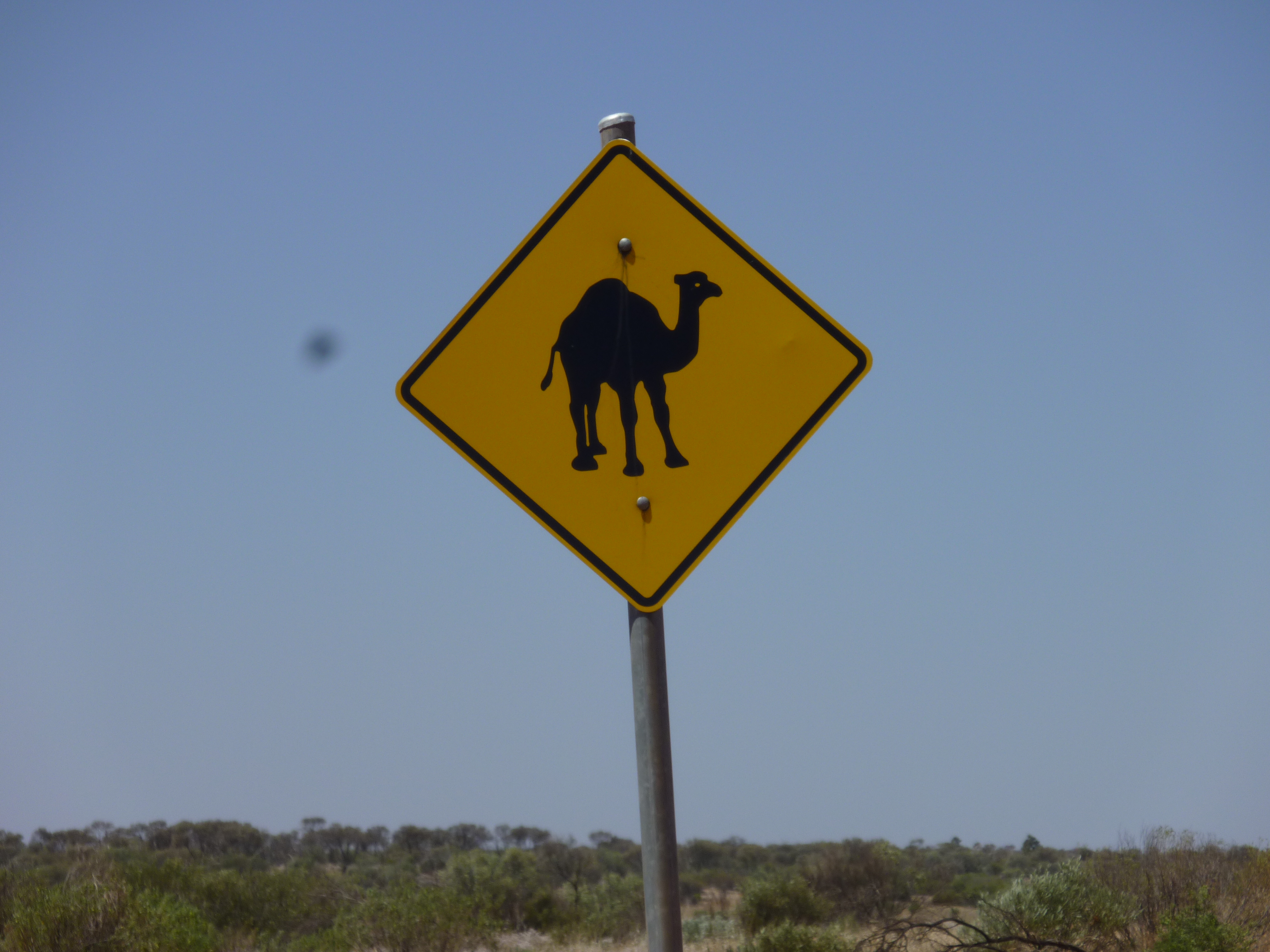 Around Australia Tagalong Tour