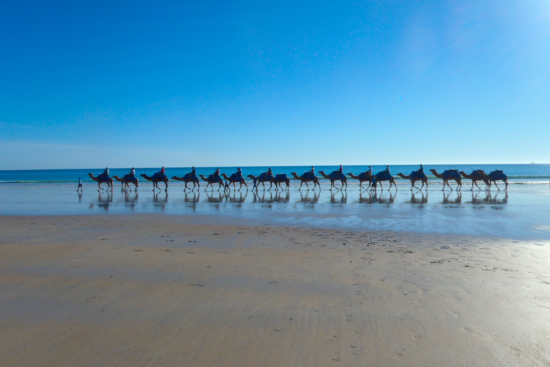 Great Savannah Tagalong Tour