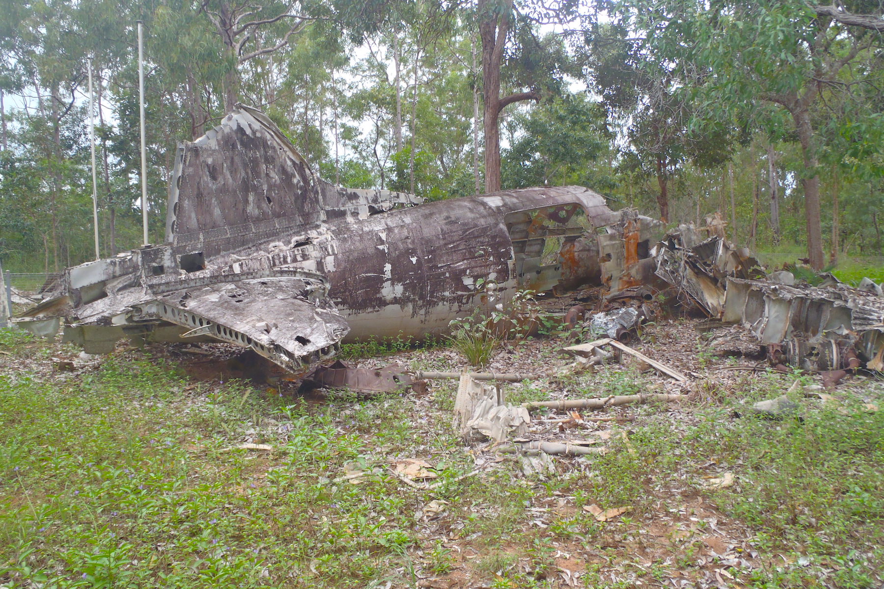Cape York Safari Tagalong Tour