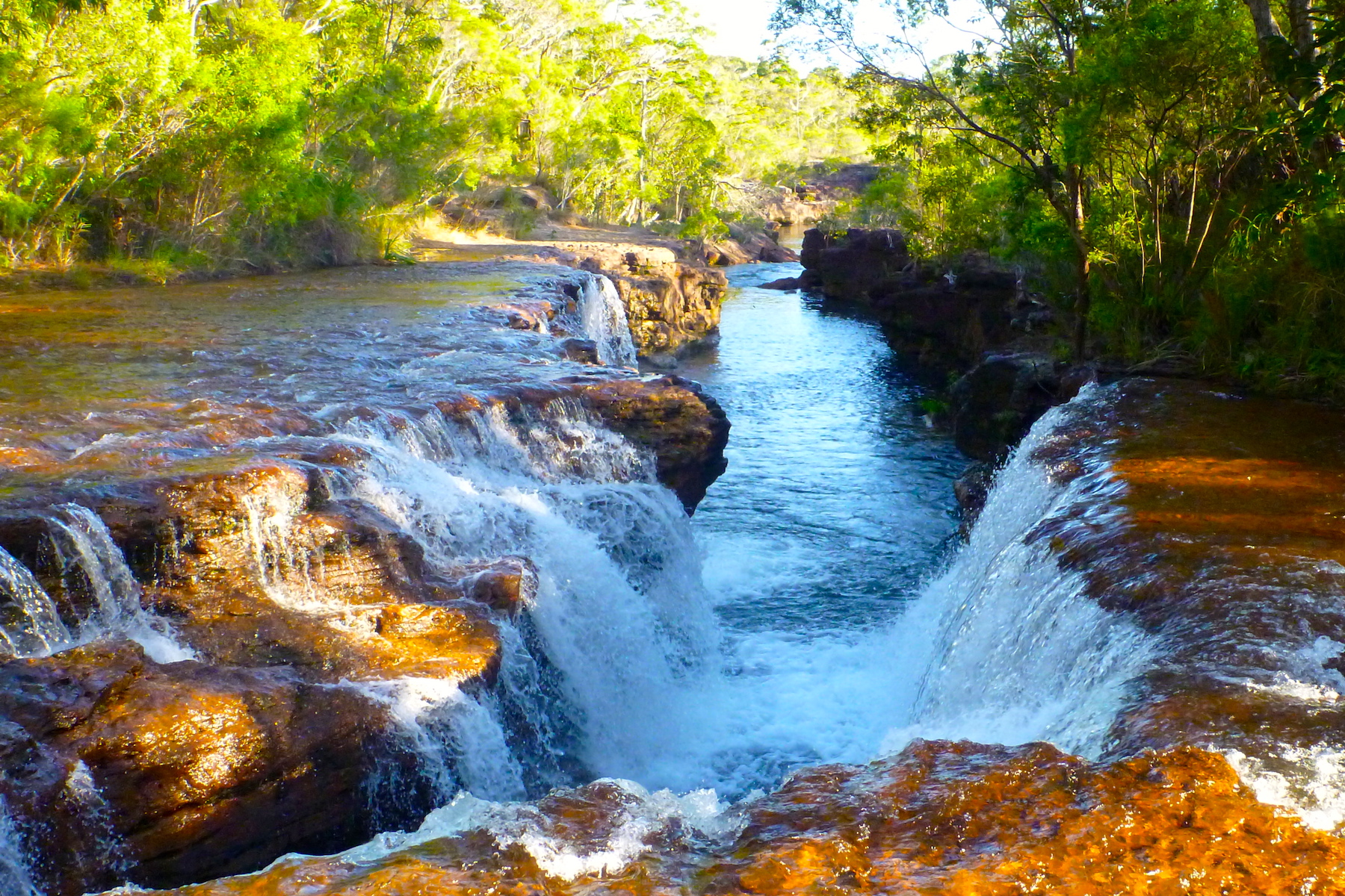 Cape York Safari Tagalong Tour