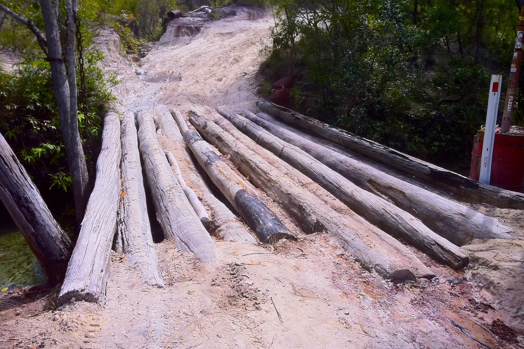 Cape York Safari Tagalong Tour