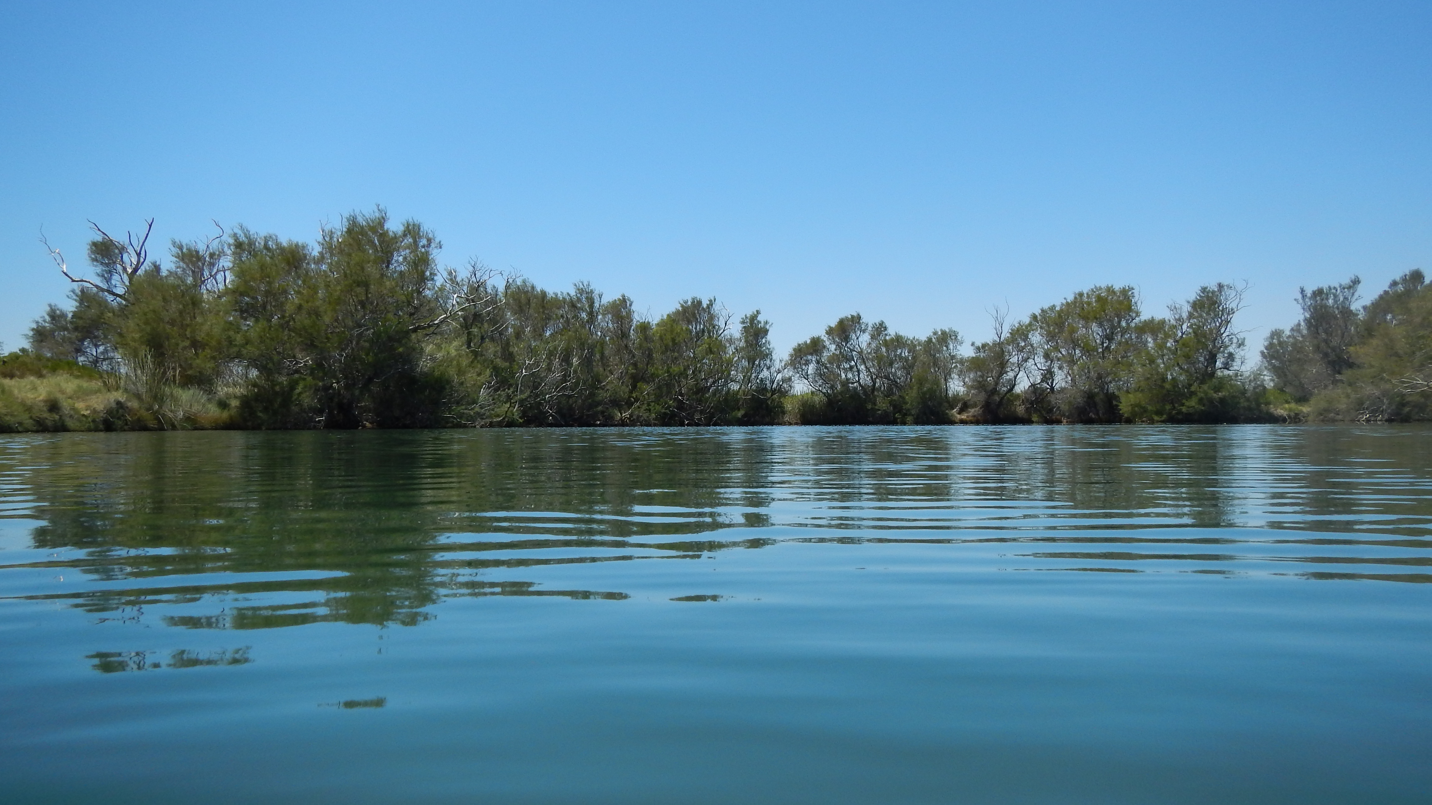 Around Australia Tagalong Tour