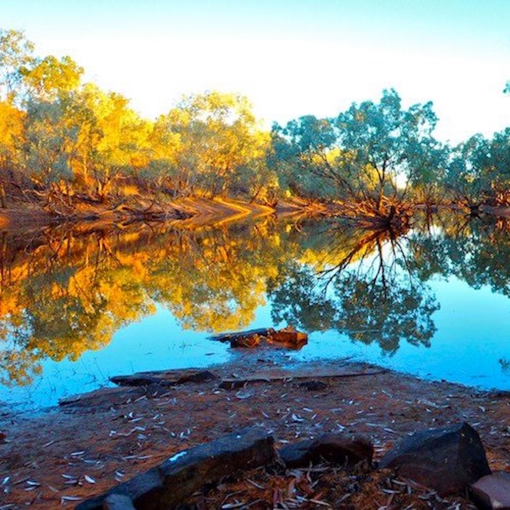 Great Savannah Tagalong Tour