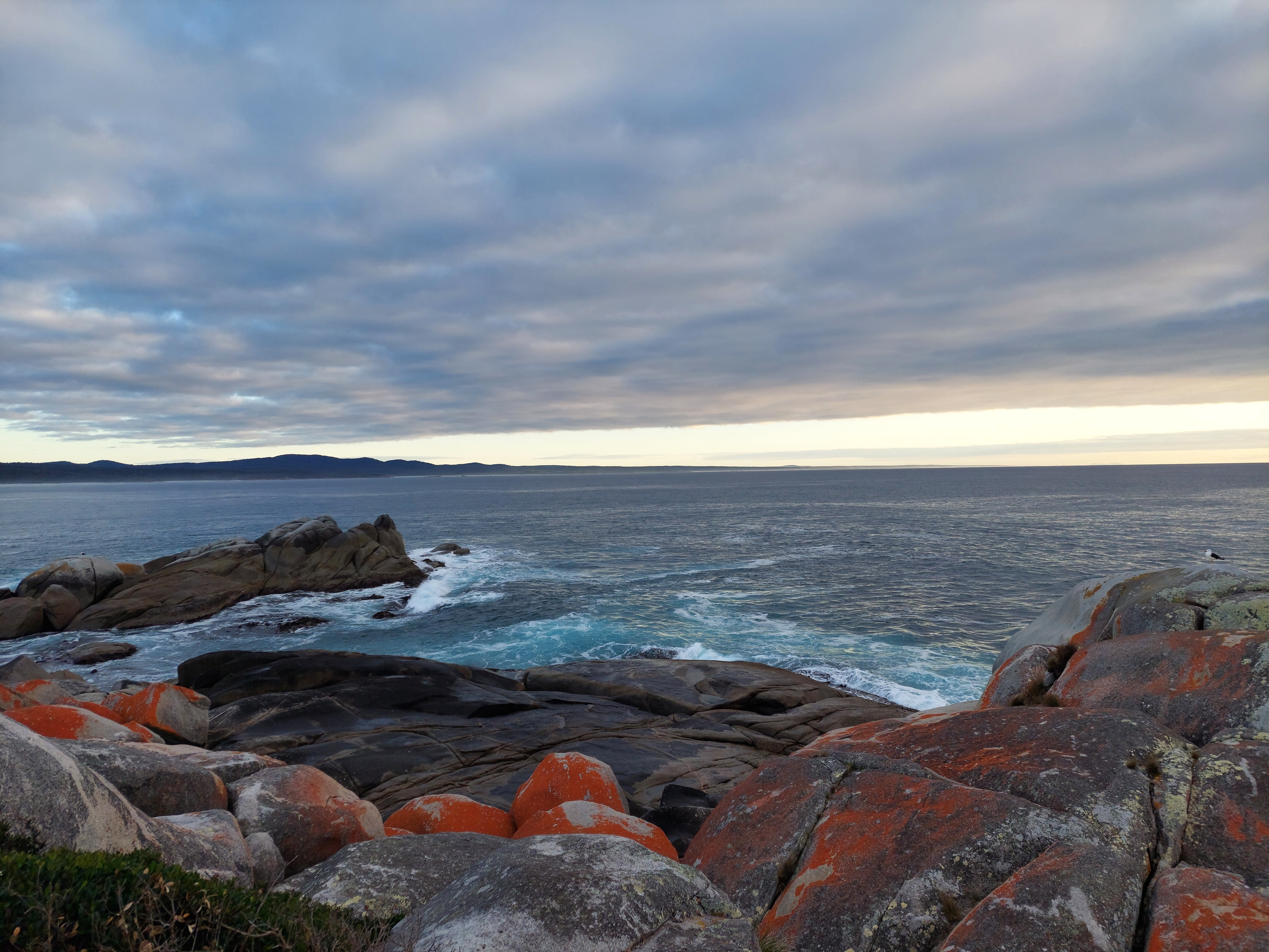 larapuna / Bay of Fires Off Peak Explorer - lutruwita / Tasmania - 4 Days