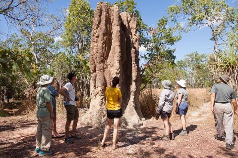 Kakadu, Nitmiluk & Litchfield - Family 7 day walking tour