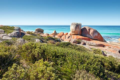 larapuna / Bay of Fires – lutruwita / Tasmania – 4 Days Tasmania Australia