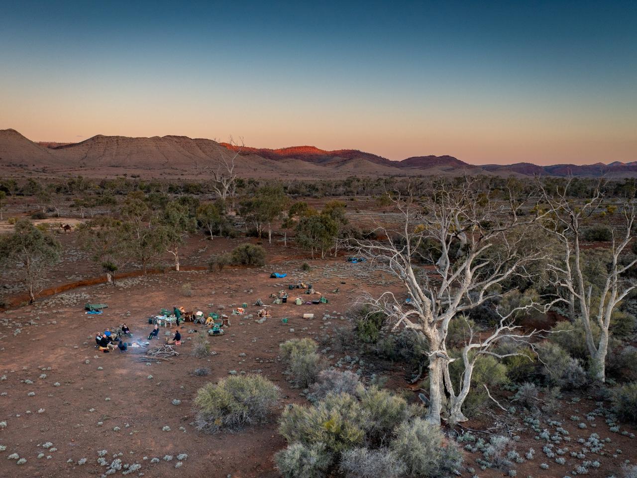 Flinders Ranges with Camels - South Australia - 9 Days