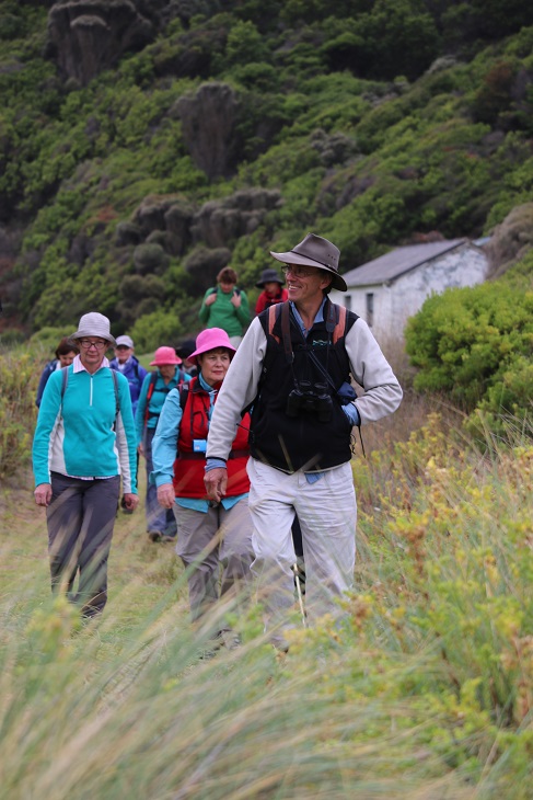 Great Ocean Walk Highlights - Victoria - 4 Days