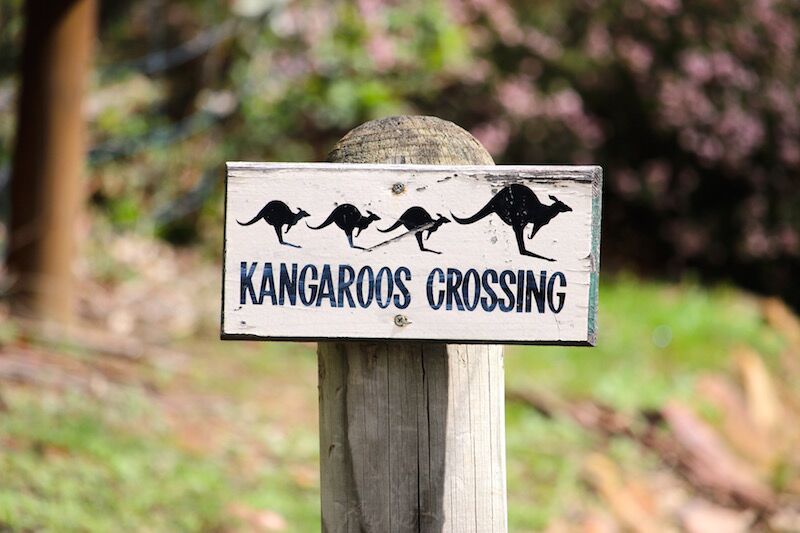 Gariwerd / Grampians Peak Trail Highlights - Victoria - 4 Days