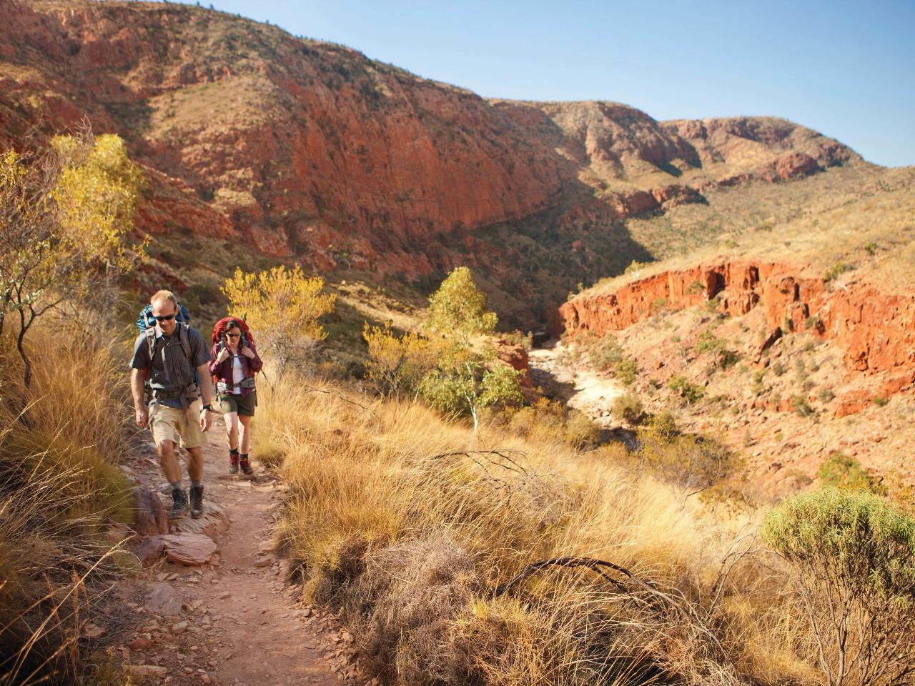Larapinta Highlights & Mt Sonder - Northern Territory - 7 Days