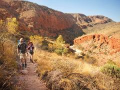 Larapinta Highlights & Mt Sonder - Northern Territory - 7 Days