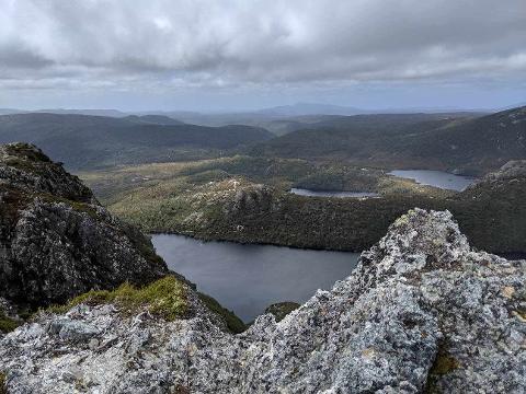 wulinantikala / Cradle Mountain – lutruwita / Tasmania – 4 Days Tasmania Australia