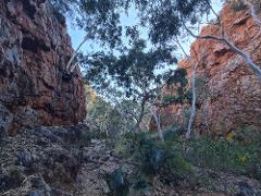 Larapinta Highlights - Eastern End with Mt Sonder - Northern Territory - 7 Days