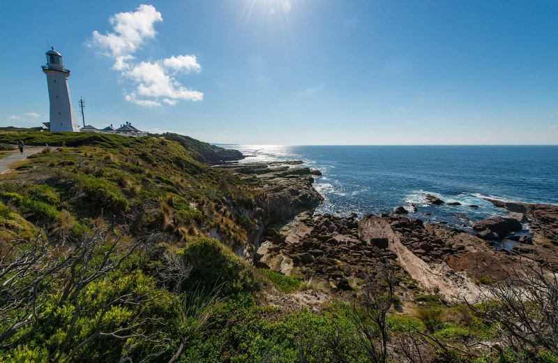 Light to Light & Sapphire Coast 4-day walking holiday