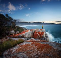 Bay of Fires and Mt William National Park - 4 day walking tour