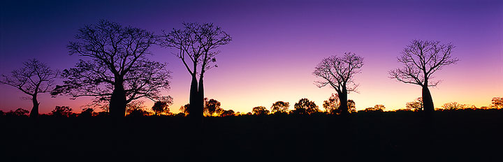 Kimberley 10 day walking tour Camping