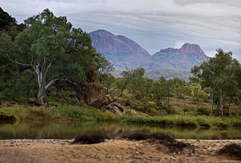 Larapinta and West MacDonnell Ranges