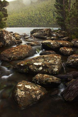 South West & Mount Field – lutruwita / Tasmania – 4 Days Tasmania Australia