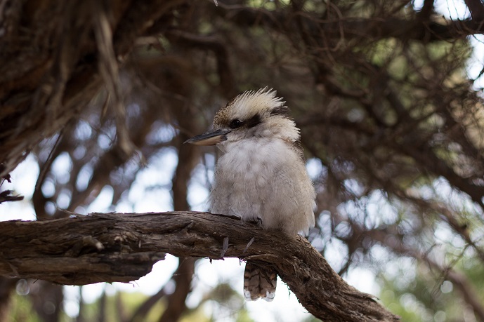 Wamoon / Wilsons Promontory - Victoria - 4 Days