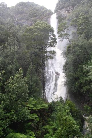 takayna / Tarkine Wilderness Highlights – lutruwita / Tasmania – 5 Days Tasmania Australia