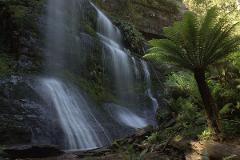 South West & Mount Field - lutruwita / Tasmania - 4 Days