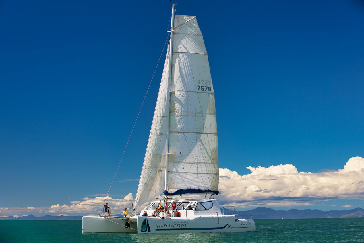 Full Day Sail