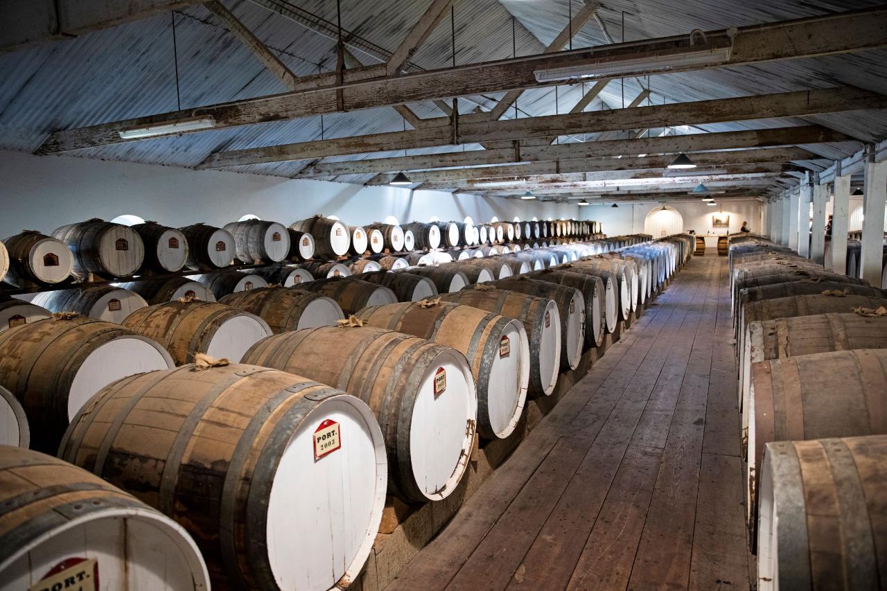 Seppeltsfield Milestone Tasting Experience — Barossa Valley - Photo 2